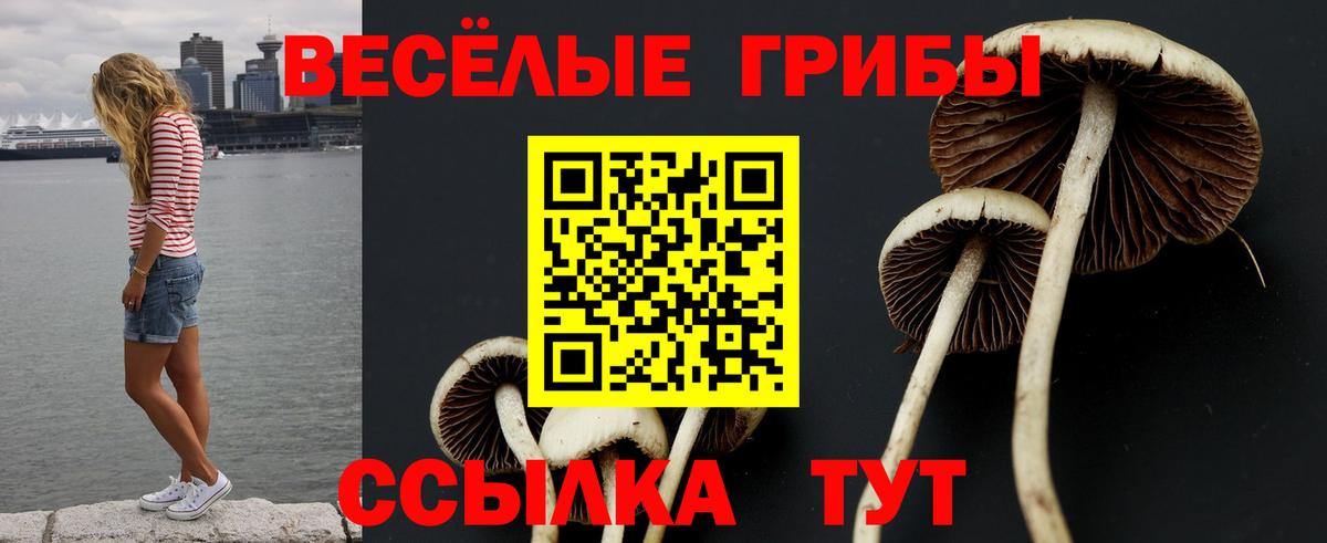 Галлюциногенные грибы мицелий Майский